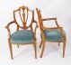 Antique Set 8 Shieldback Satin wood Dining Chairs Cowtan & Sons 19th C Antique Set 8 Shieldback Satin wood Dining Chairs Cowtan & Sons 19th C | Ref. no. A4734 | Regent Antiques