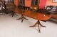 Vintage 13ft  Regency Revival Triple Pillar Dining Table & 16 chairs 20th C | Ref. no. A4801b | Regent Antiques