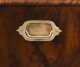 Antique Victorian Burr Walnut Cigar Humidor / Collectors Cabinet C1870 19th C | Ref. no. A4830 | Regent Antiques