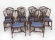 Vintage Regency RevivalTwin Pillar Dining Table & 10 Chairs Mid 20th C | Ref. no. A5012a | Regent Antiques