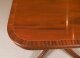 Vintage Regency Revival Flame Mahogany Dining Table & 10 Chairs Mid 20th C | Ref. no. A5012b | Regent Antiques