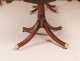 Vintage Twin Pillar Flame Mahogany Dining Table and 12 Chairs 20th C | Ref. no. A5016a | Regent Antiques