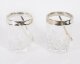 Vintage Pair Silver Plated  & Crystal Ice Pail Bucket Mid 20th Century | Ref. no. A5081a | Regent Antiques