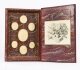Antique Set Scholar\