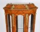 Antique Fine King Wood Octagonal Display Cabinet Jardiniere 20th C | Ref. no. A5102 | Regent Antiques