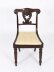 Antique Set 12 Irish Regency Bar Back Dining Chairs  C1825 19th C | Ref. no. A5115 | Regent Antiques