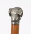 Antique Dogs Head Sliver Plated Handled Walking Stick Cane 19thC 94cm / 37 inch | Ref. no. A5201 | Regent Antiques