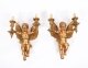 Antique Pair Italian Two Branch Cherub Ormolu Wall Lights C1880 19th C | Ref. no. A5223a | Regent Antiques