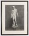 Antique Large Framed Drawing The Capitoline Antinous Dated 1836 Antique Large Framed Drawing The Capitoline Antinous Dated 1836 | Ref. no. A5281a | Regent Antiques