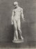 Antique Large Framed Drawing The Capitoline Antinous Dated 1836 Antique Large Framed Drawing The Capitoline Antinous Dated 1836 | Ref. no. A5281a | Regent Antiques