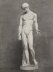Antique Large Framed Drawing The Capitoline Antinous Dated 1836 Antique Large Framed Drawing The Capitoline Antinous Dated 1836 | Ref. no. A5281a | Regent Antiques