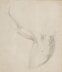 Antique Drawing on Paper Figural Study& 39 After Raphael Late19th C Antique Drawing on Paper Figural Study\
