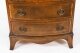 Vintage Pair of Burr Walnut Bedside Chests Cabinets mid 20th C Vintage Pair of Burr Walnut Bedside Chests Cabinets mid 20th C | Ref. no. A5301 | Regent Antiques