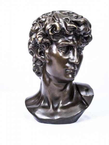 Brown Patinated Bronze Bust of Michelangelo’s David | Ref. no. 07530 | Regent Antiques