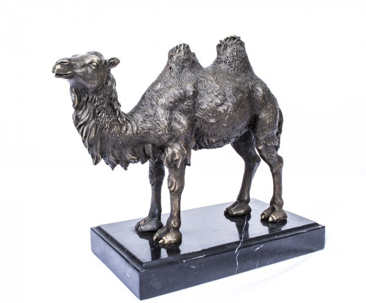 A Bronze Sculpture of a Standing Camel | Ref. no. 07533 | Regent Antiques