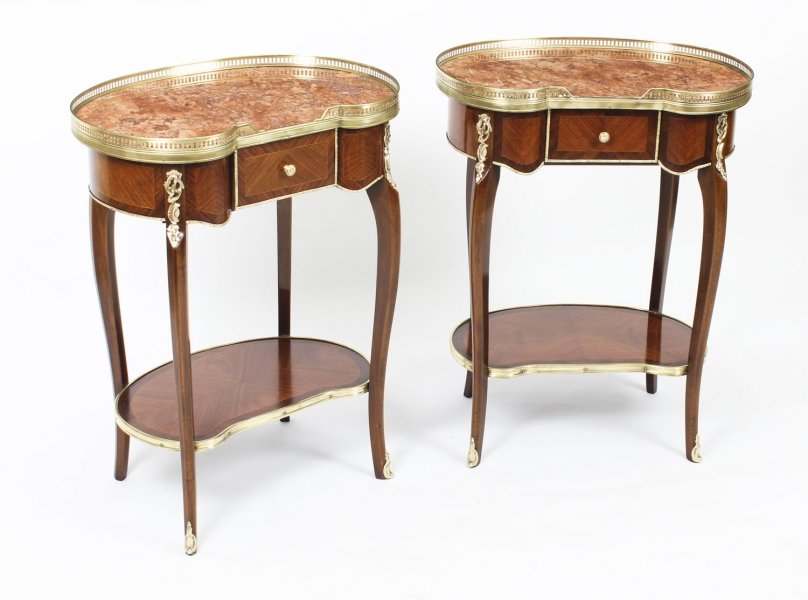 Antique Pair  Kidney Occassional Tables /  Bedside Cabinets 19th Century | Ref. no. 09236 | Regent Antiques