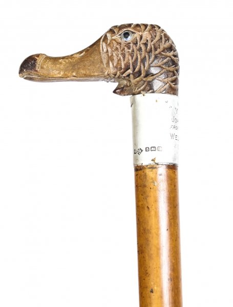 Antique Walking Stick Duck Head Handle Silver Collar 19th C | Ref. no. 09351 | Regent Antiques