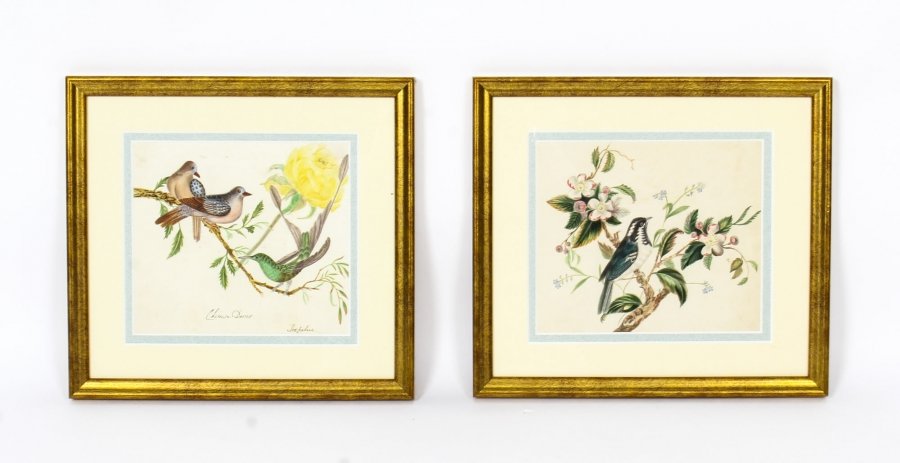 Antiques Pair of Ornithological and Botanical paintings Early 19th Century | Ref. no. 09851 | Regent Antiques