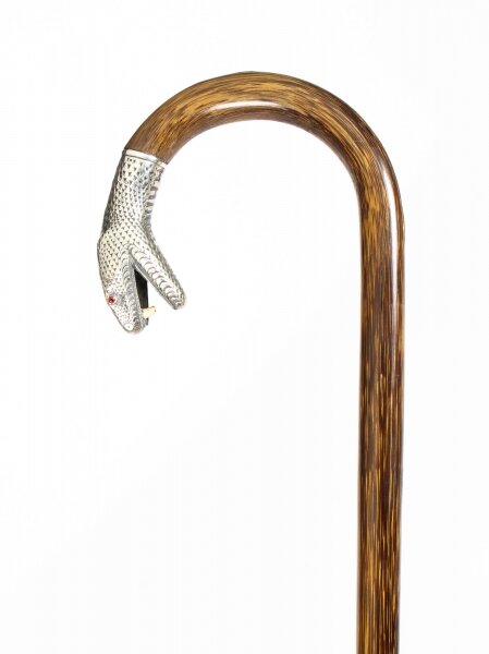 Antique Walking Stick Cane with Silver Snake\'s Head  19th C | Ref. no. A1429 | Regent Antiques