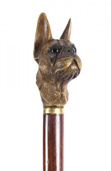 Antique Black Forest Bulldog\'s Head Walking Stick Cane 19th C | Ref. no. A1599 | Regent Antiques