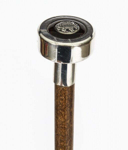 Antique Edwardian Silver Plated  Malacca  Walking Stick Cane  19th Century | Ref. no. A1765a | Regent Antiques