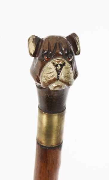Antique Walking Stick Cane with Carved Bulldog Handle Late 19th Century | Ref. no. A3246b | Regent Antiques