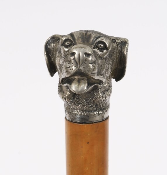 Antique Dogs Head Sliver Plated Handled Walking Stick Cane 19thC 94cm / 37 inch | Ref. no. A5201 | Regent Antiques
