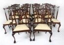 Antique Set of 14 Chippendale Revival Dining Chairs 20th Century